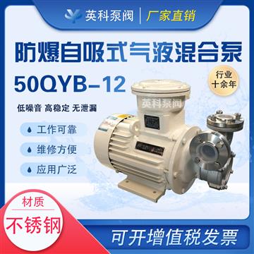 防爆自吸式氣液混合泵